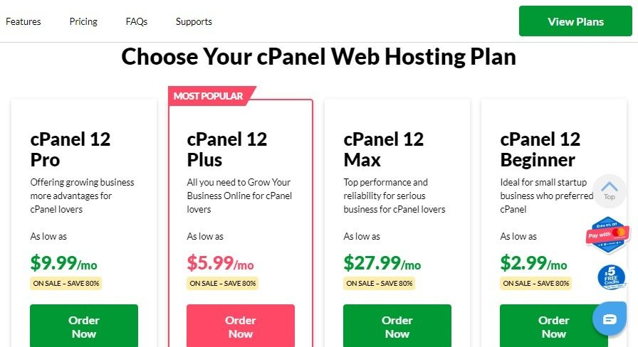 cPannel Web hosting plan