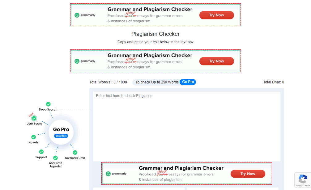 Plagiarism Detector
