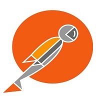 Postman API Network